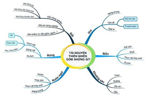 midman là gì|Bản đồ tư duy – Wikipedia tiếng Việt.
